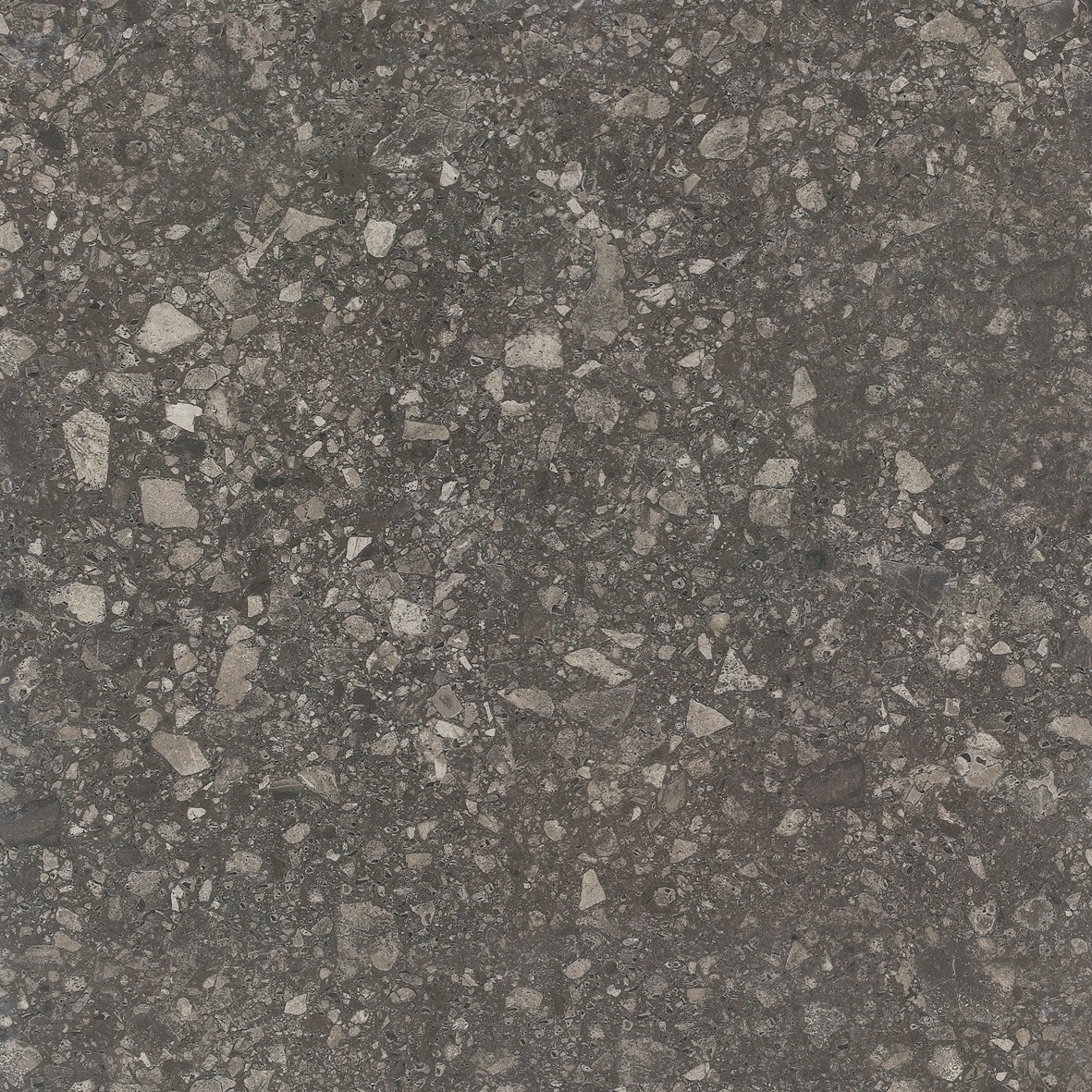Terrazzo Coal Tile